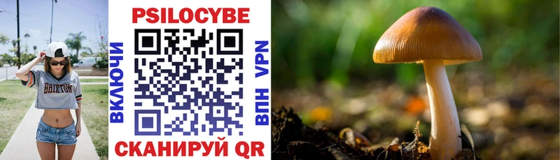 Псилоцибиновые грибы мухоморы Шахунья